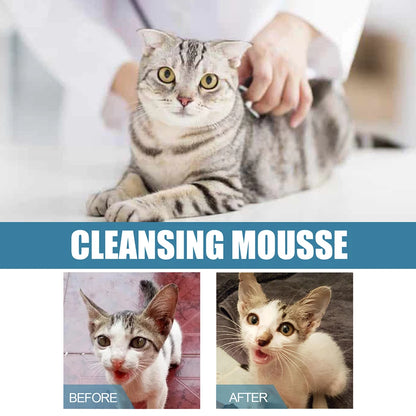 Portable Dog Dry Cleaning Shampoo Great Smelling Cat Dry Shampoo Deodorant No Rinse Cleaner for Pet Outdoor Travel Bath Supplies